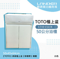 雙門 浴櫃 浴櫃組 TOTO 雙門 浴櫃 浴櫃組